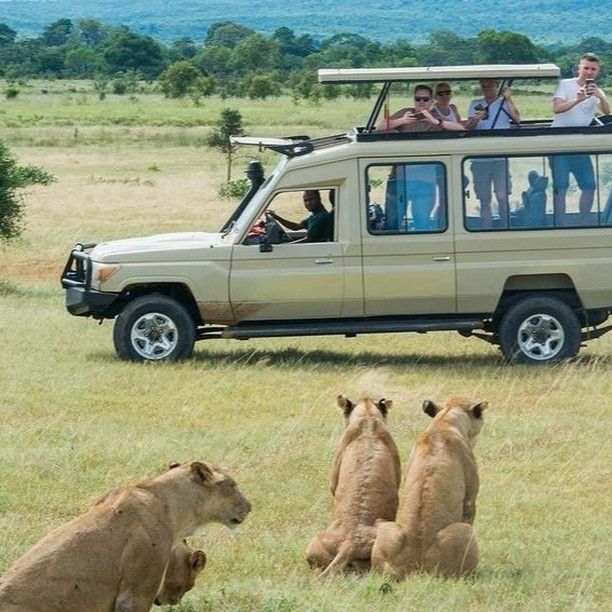 Game Drive