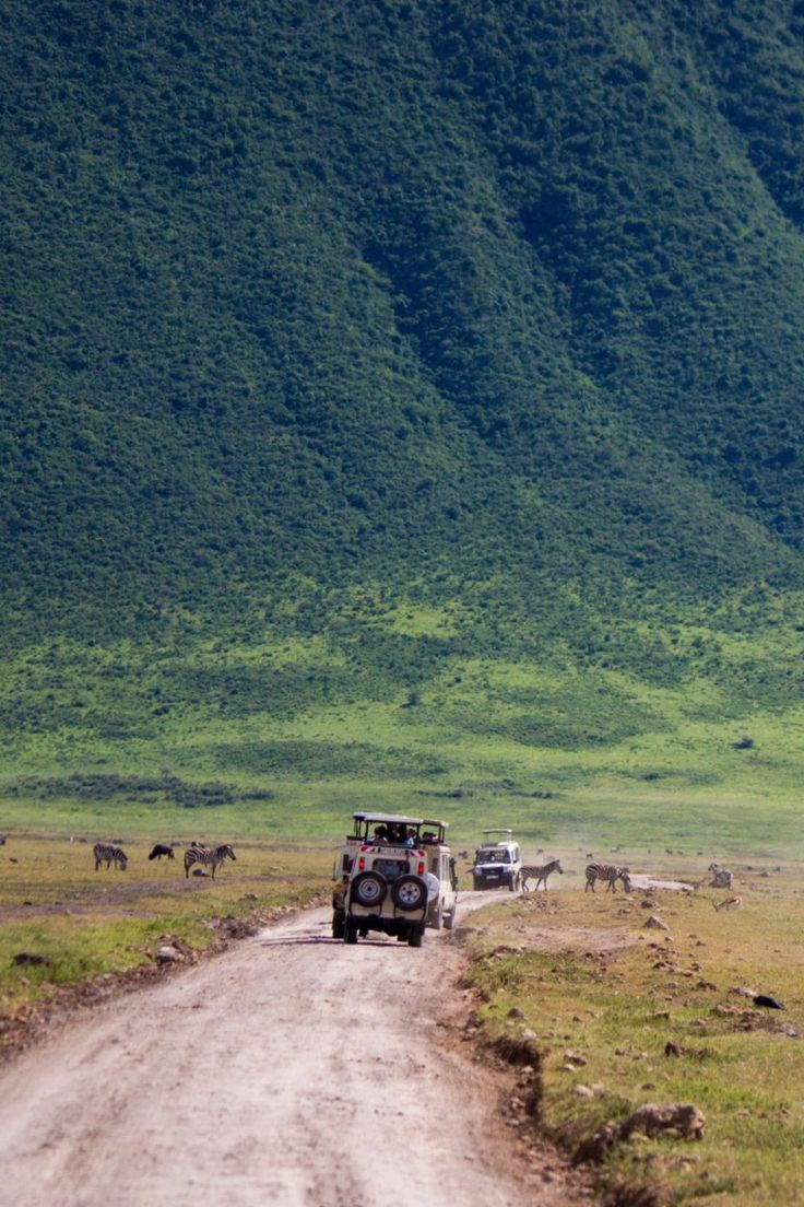 Ngorongoro Crater