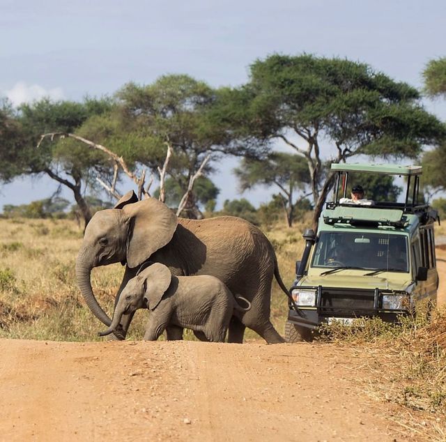 Tarangire National Park